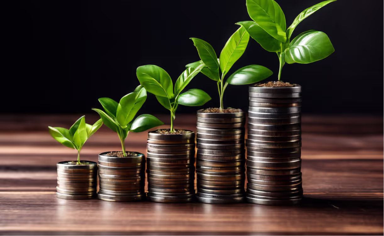 Risk Tolerance in Global Markets